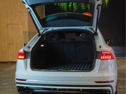 
										AUDI Q8 cheio									