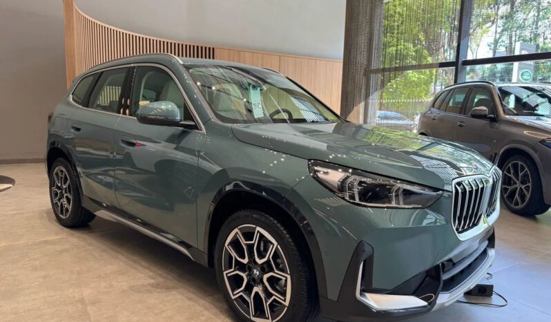 
								BMW X1 sDrive20i X Line 2.0 Turbo cheio									