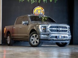 
										FORD F-150 cheio									