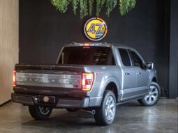 
										FORD F-150 cheio									