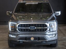 
										FORD F-150 cheio									