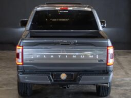
										FORD F-150 cheio									