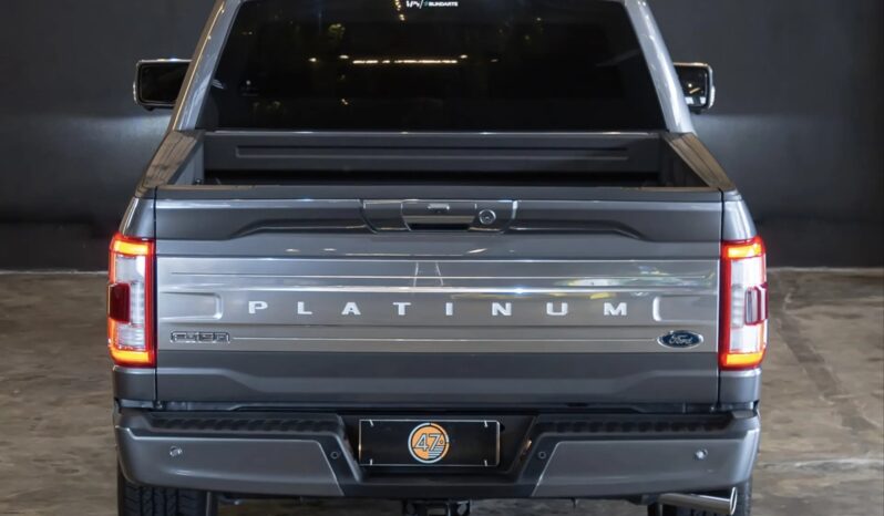 
								FORD F-150 cheio									