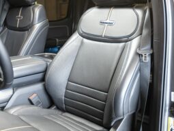 
										FORD F-150 cheio									