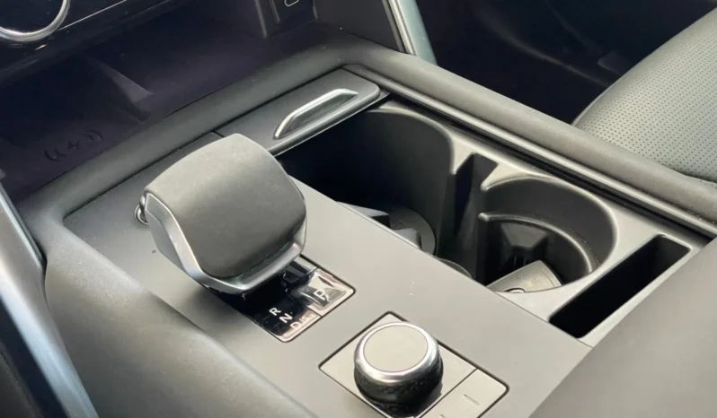 
								LAND ROVER DISCOVERY cheio									
