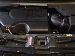 
										LAND ROVER DISCOVERY SPORT cheio									