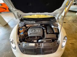 
										VOLKSWAGEN FUSCA cheio									