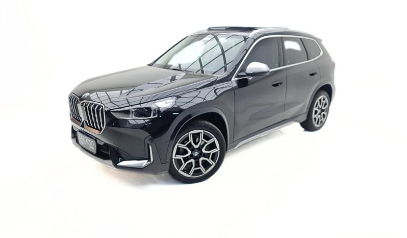 BMW X1 Alphaville