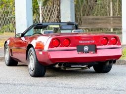 
										CHEVROLET CORVETTE cheio									