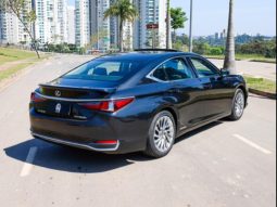 
										LEXUS ES 300h cheio									