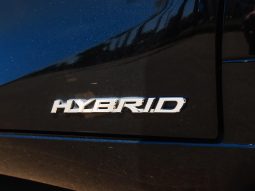 
										LEXUS ES 300h cheio									