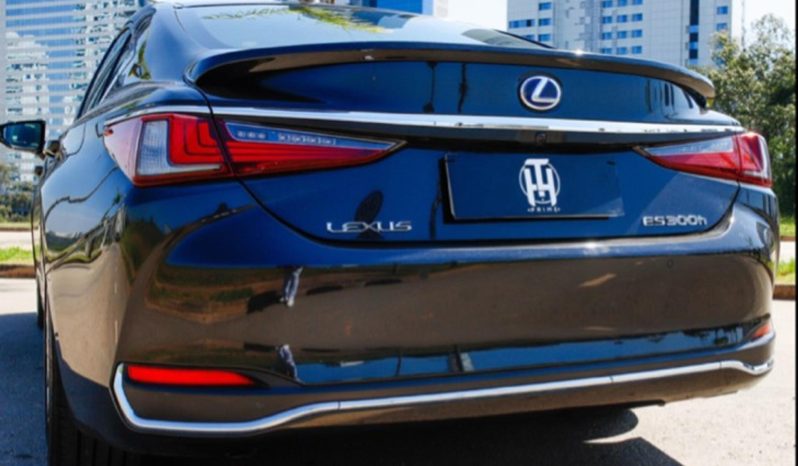 
								LEXUS ES 300h cheio									