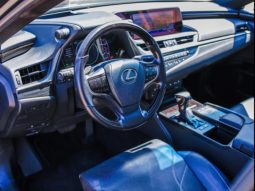 
										LEXUS ES 300h cheio									