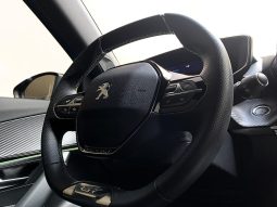 
										PEUGEOT 2008 cheio									