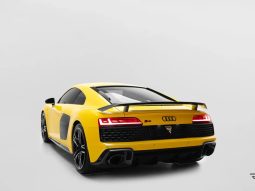 
										AUDI R8 cheio									