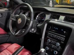 
										FORD MUSTANG cheio									
