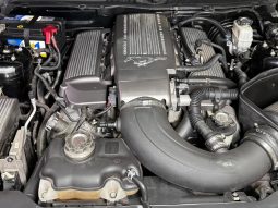 
										FORD MUSTANG cheio									