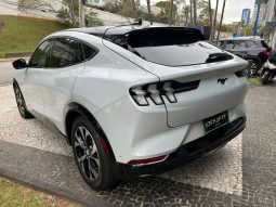 
										FORD MUSTANG MACH-e cheio									