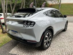 
										FORD MUSTANG MACH-e cheio									