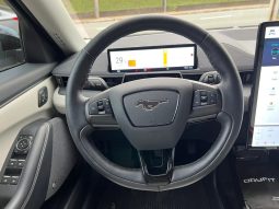 
										FORD MUSTANG MACH-e cheio									