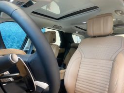 
										LAND ROVER DISCOVERY cheio									