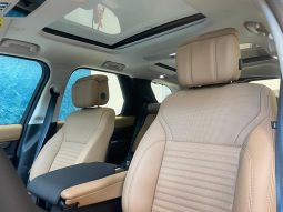 
										LAND ROVER DISCOVERY cheio									
