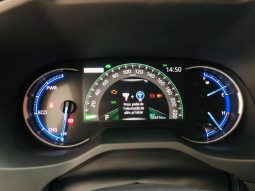 
										TOYOTA RAV4 cheio									