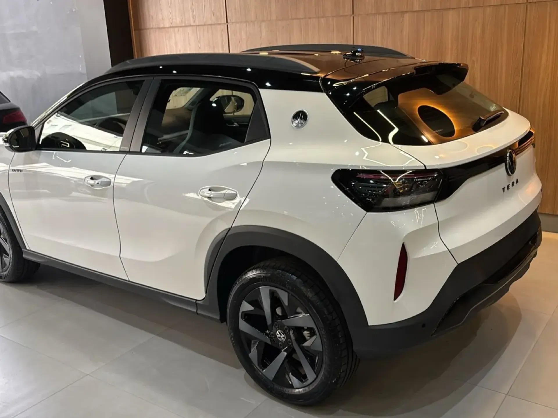 VOLKSWAGEN TERA