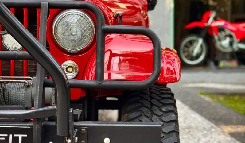 
								FORD JEEP cheio									