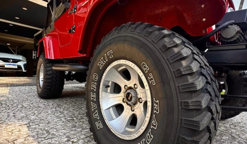 
								FORD JEEP cheio									