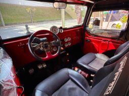 
										FORD JEEP cheio									