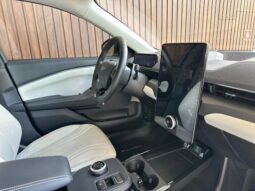 
										FORD MUSTANG MACH-e cheio									