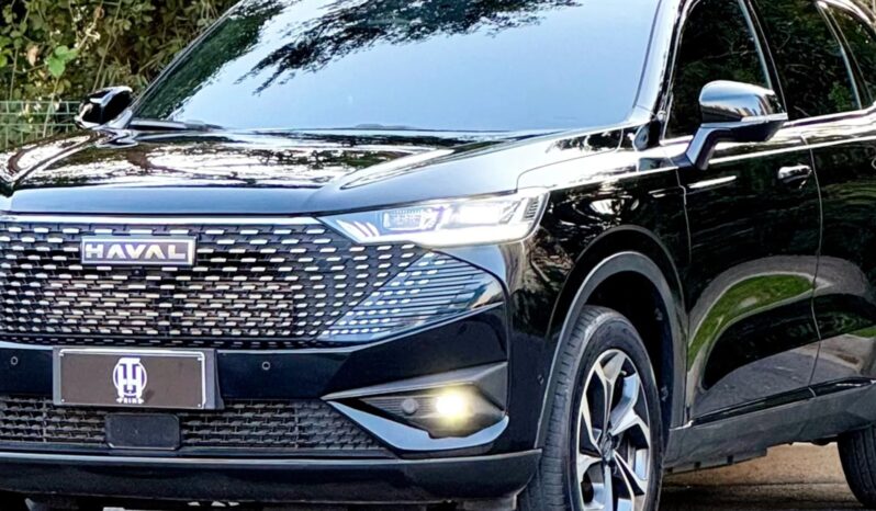 
								GWM HAVAL H6 cheio									
