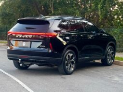 
										GWM HAVAL H6 cheio									