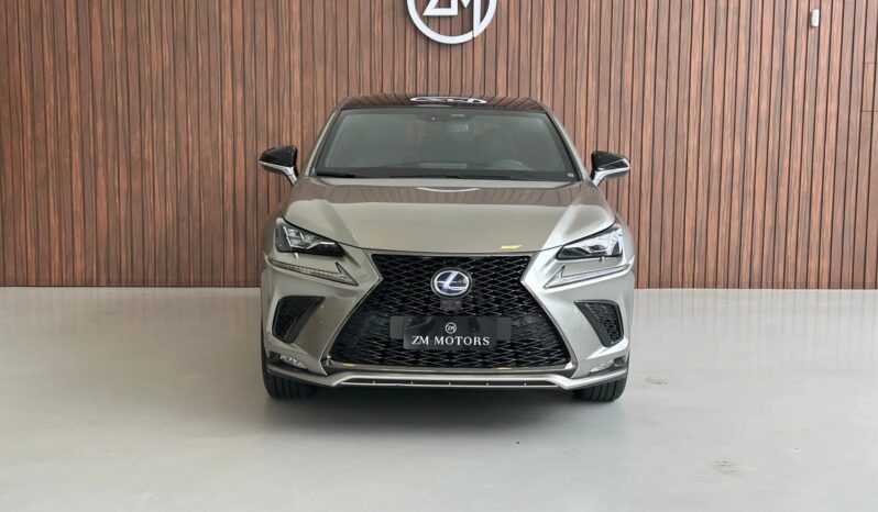 
								LEXUS NX 300h cheio									