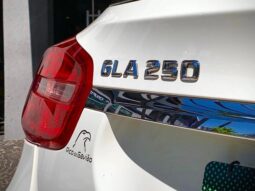 
										MERCEDES-BENZ GLA 250 cheio									