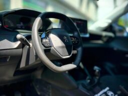 
										PEUGEOT 208 cheio									