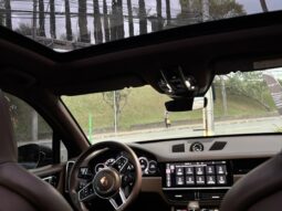 
										PORSCHE CAYENNE cheio									