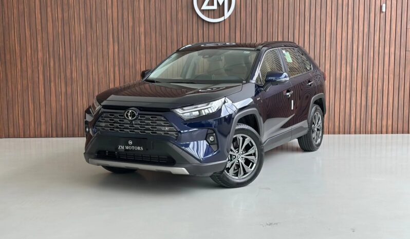 
								TOYOTA RAV4 cheio									