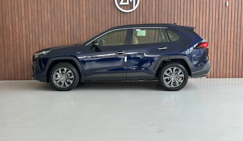 
								TOYOTA RAV4 cheio									