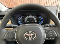 
										TOYOTA RAV4 cheio									