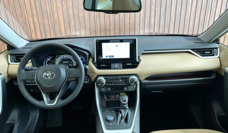
								TOYOTA RAV4 cheio									